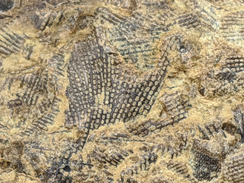 gravel