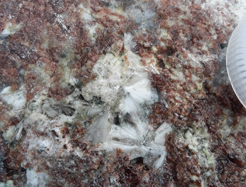 mineral