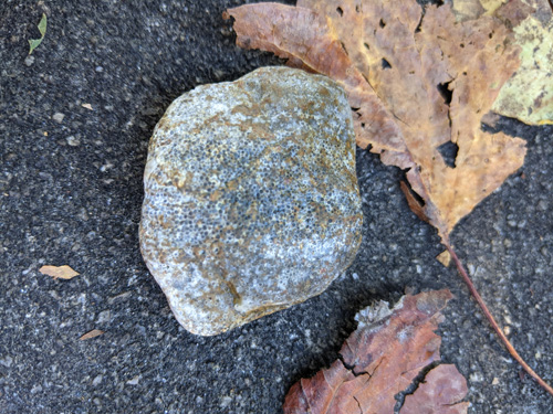 gravel