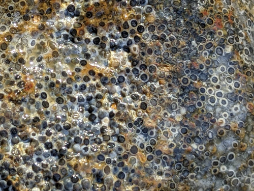 gravel