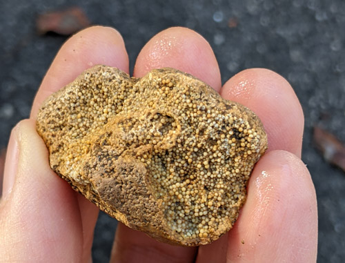 gravel