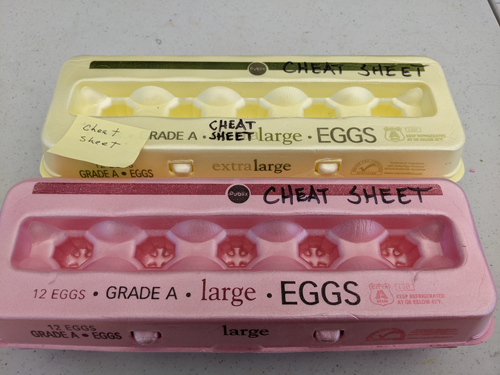 eggs