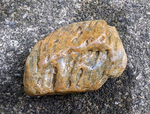 gravel