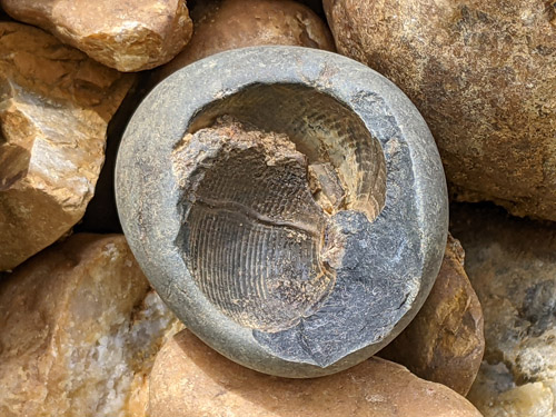 gravel