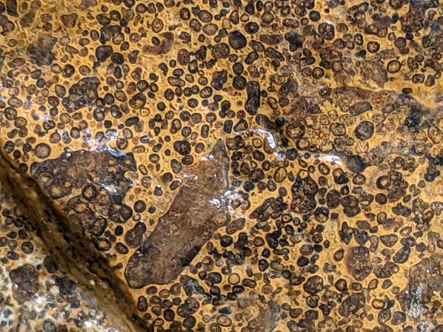 gravel