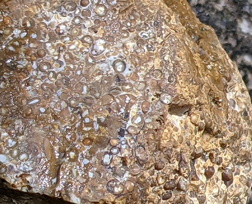 gravel