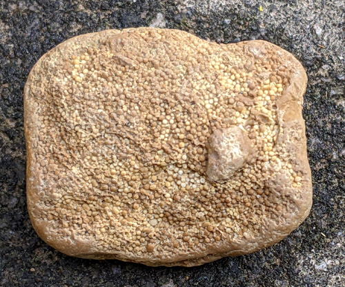gravel