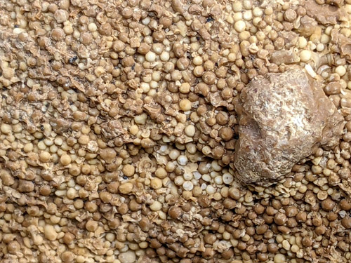 gravel