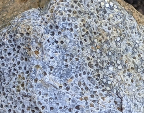 gravel