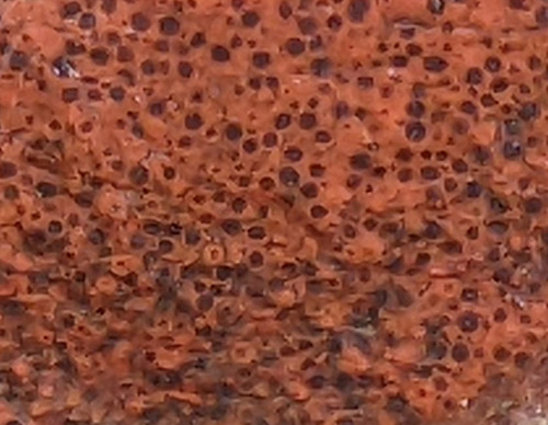 gravel