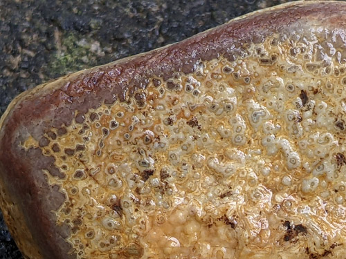 gravel