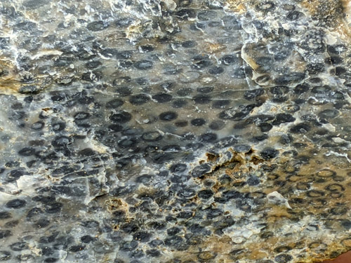 gravel