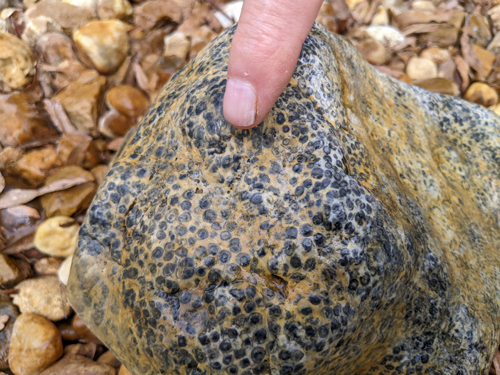 gravel