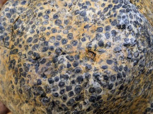 gravel