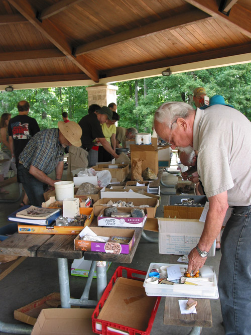 picnic7
