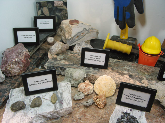 display7