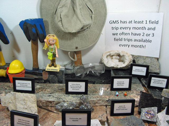 display8