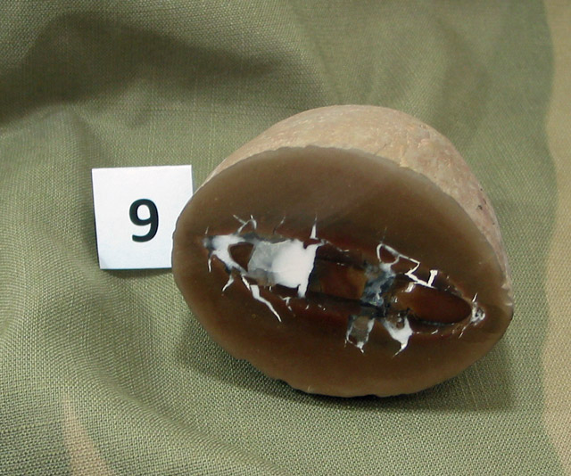 hunt6