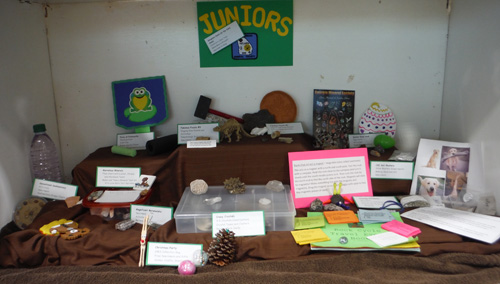 display44