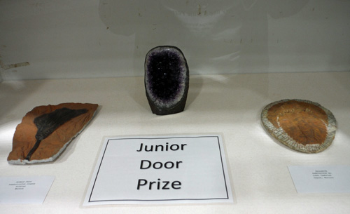 prize7
