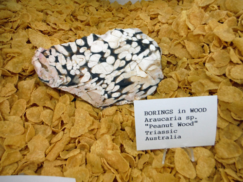 display3