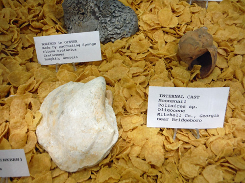 display3