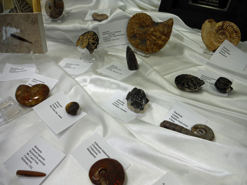 display4