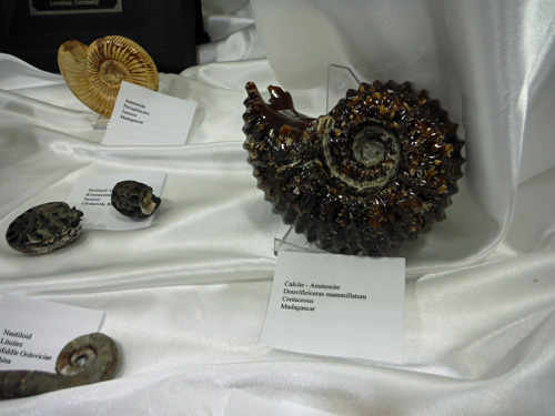 display4