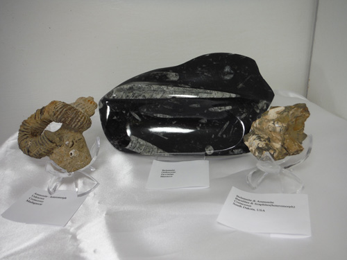 display4