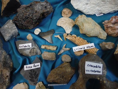 display5