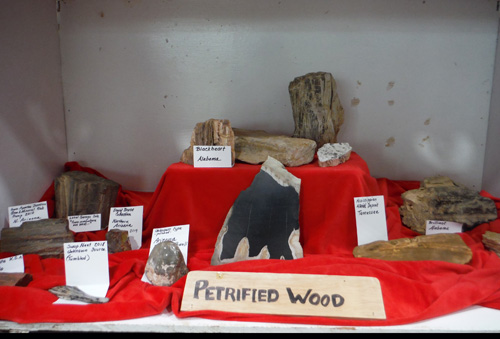 display7