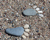 sedimentary